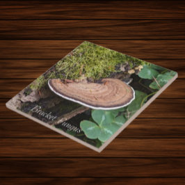 Azulejo Foto de la naturaleza del hongo del abrigo