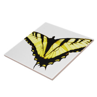 Azulejo Foto de mariposa de cola Swallowtail de tigre orie