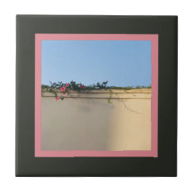 Foto de momento de calma