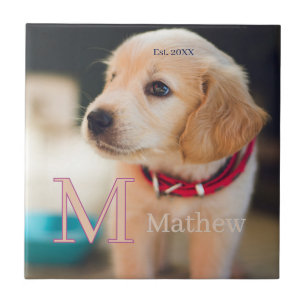 Azulejo foto de perro mascota monograma de nombre año est