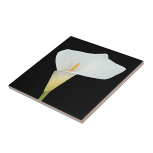 Azulejo Foto del jardín trasero de Calla blanca Lily Flowe