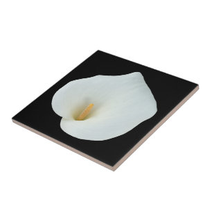 Azulejo Foto del jardín trasero de Calla blanca Lily Flowe