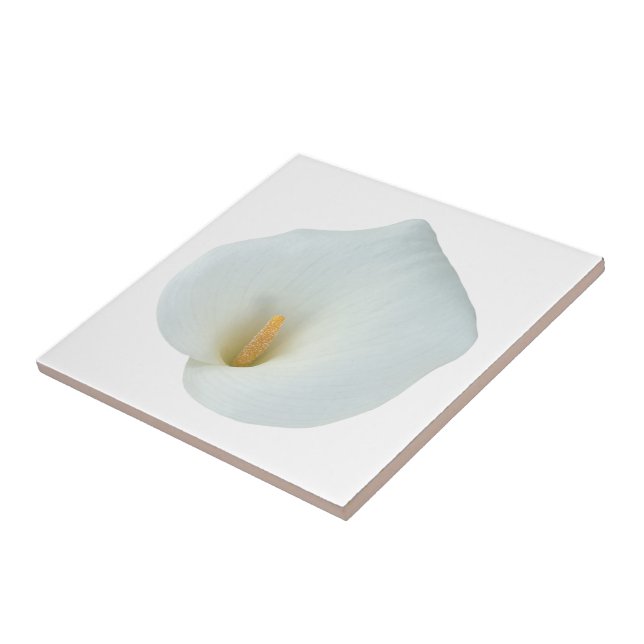 Azulejo Foto del jardín trasero de Calla blanca Lily Flowe (Lado)