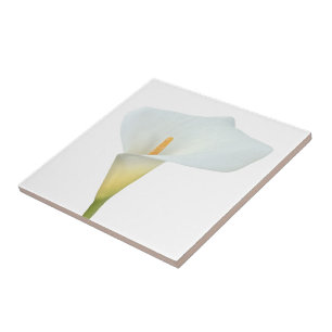 Azulejo Foto del jardín trasero de Calla blanca Lily Flowe