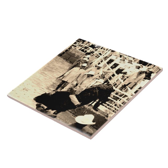 Azulejo Foto del piloto de rodeo Bull Bucking (Lado)