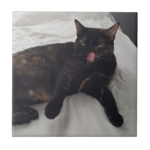 Azulejo Foto divertida de un gato con la lengua fuera, tej