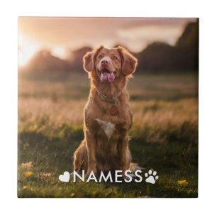 Azulejo Foto personalizada con el nombre de tu perro