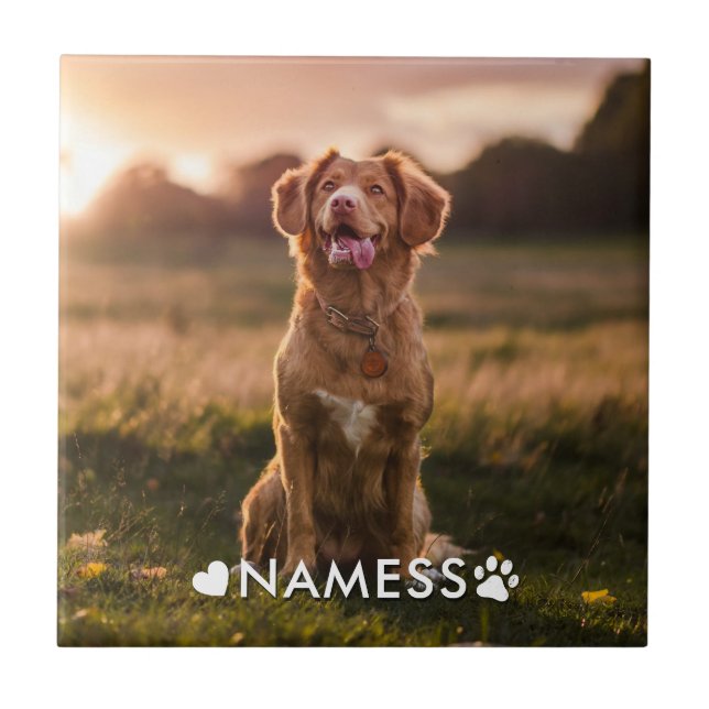 Azulejo Foto personalizada con el nombre de tu perro (Frente)