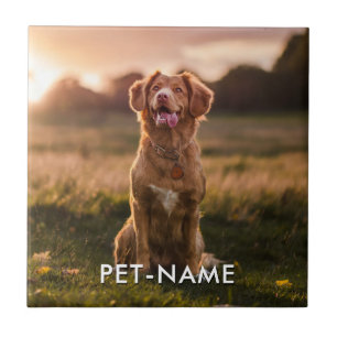 Azulejo Foto personalizada con el nombre de tu perro