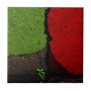 Azulejo Fotografía de Bella Artes rojo y verde