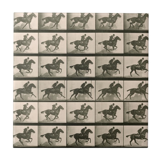 Azulejo Fotografía de cosecha de caballos en movimiento (Frente)