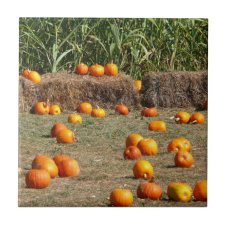 Azulejo Fotografía de cosecha otoñal de calabazas, maíz y