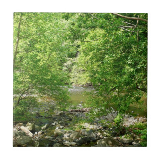 Azulejo Fotografía de la naturaleza de Maryland con vistas