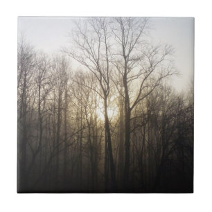 Azulejo Fotografía de la naturaleza del amanecer de niebla