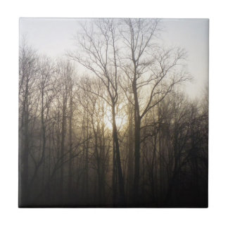 Azulejo Fotografía de la naturaleza del amanecer de niebla