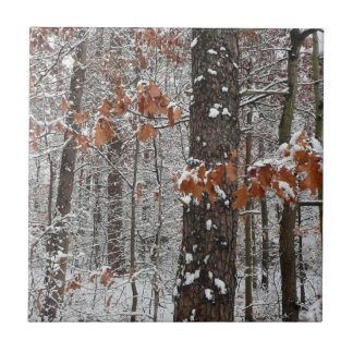 Azulejo Fotografía de naturaleza invernal de robles cubier