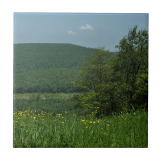 Azulejo Fotografía de verano de Laurel Highlands Pennsylva