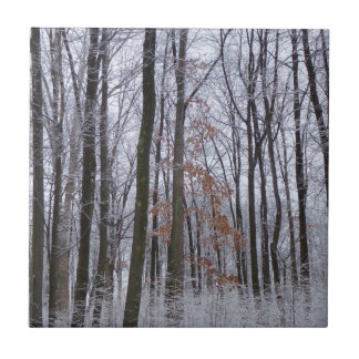 Azulejo Fotografía del paisaje invernal de la nieve desech