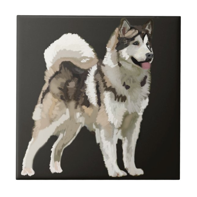 Azulejo Fotográfico de Cerámica de Perro Husky (Frente)