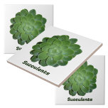 Azulejo Fotográfico verde exitoso Botánico Natural<br><div class="desc">Baldosas botánicas,  diseñadas por Nature!,  con una planta de suculento Echeveria verde fotográfico de cierre. Baldosas naturales para ser utilizadas como contragolpe,  azulejos acentuados,  artes y artesanías y plantas domésticas o jardinería. El texto es personalizable o puede suprimirse. Esta imagen es fotografía botánica original de JLW_PHOTOGRAPHY.</div>