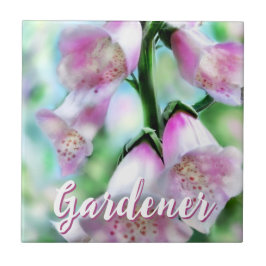 Azulejo Foxglove Flowers Floral Pink Garden Personalized