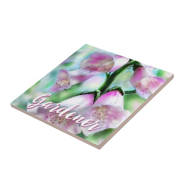 Azulejo Foxglove Flowers Floral Pink Garden Personalized (Lado)