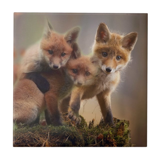 Azulejo Foxy Triplets (Frente)