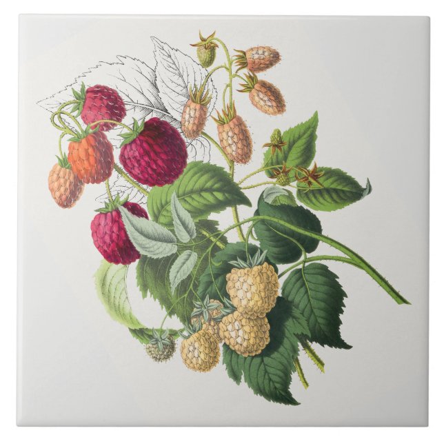 Azulejo Fresa vintage (Frente)