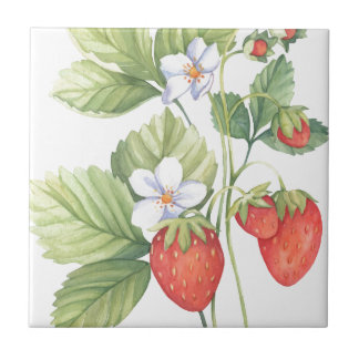 Azulejo Fresas