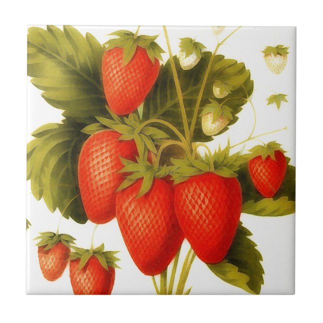 Azulejo Fresas de época con hojas verdes (Frente)
