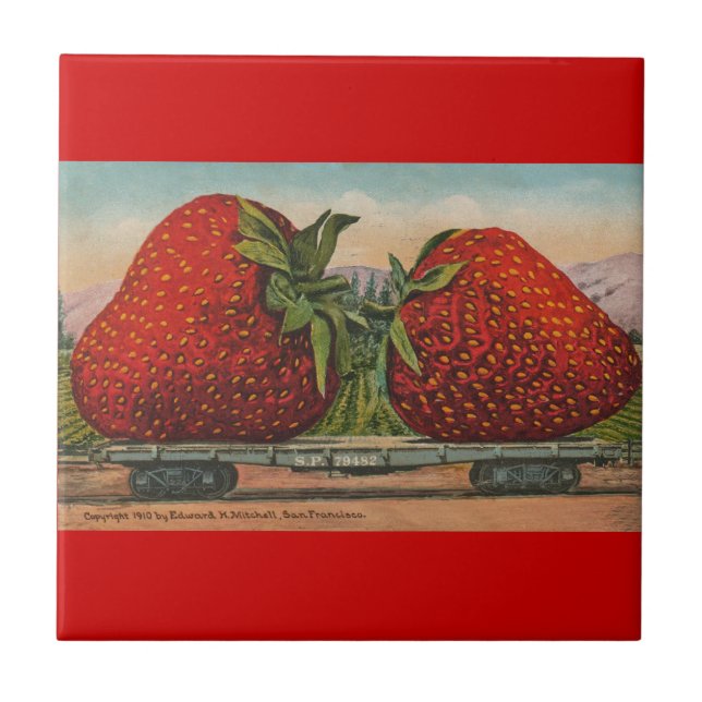 Azulejo Fresas Gigante Fruto de la Antigüedad (Frente)