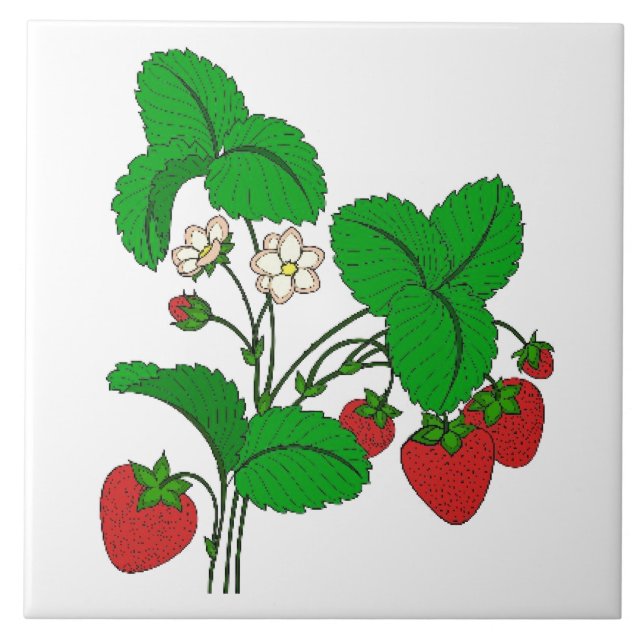 Azulejo Fresas para el desayuno (Frente)