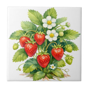 Azulejo Fresas y flor de bayas al agua