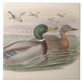 Azulejo fresco patos vintage decoración cerámica