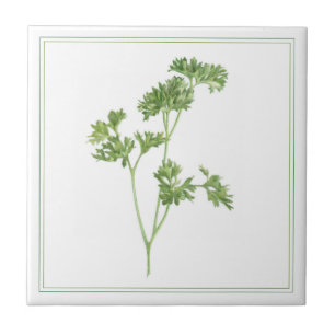 Azulejo FRESH PARSLEY 4.25x4.25 Tejido cerámico (-texto)