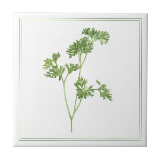 Azulejo FRESH PARSLEY 4.25x4.25 Tejido cerámico (-texto) (Frente)