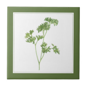 Azulejo FRESH PARSLEY 4.25x4.25 Tejido cerámico (-texto) V
