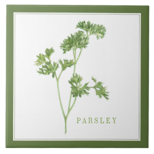 Azulejo FRESH PARSLEY 6x6 Tile cerámico (+texto) Verde