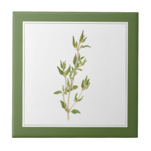 Azulejo FRESH THYME 4.25x4.25 Tejido cerámico (-texto) Ver