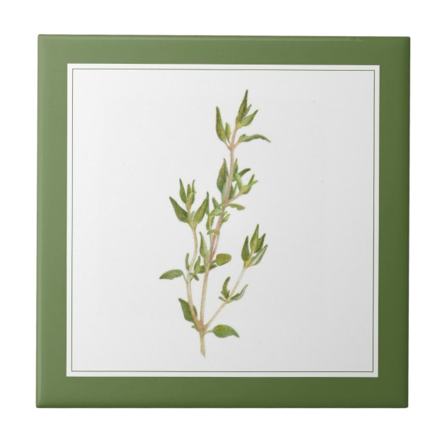 Azulejo FRESH THYME 4.25x4.25 Tejido cerámico (-texto) Ver (Frente)