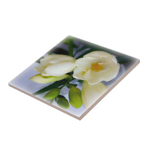 Azulejo fresia amarilla blanca