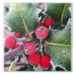 Azulejo Frosty Holly