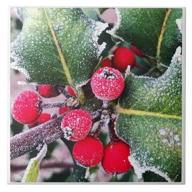 Azulejo Frosty Holly (Frente)