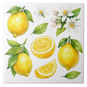 Azulejo Fruta de limón acuarela, hojas y flor de limón 