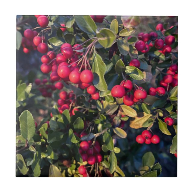 Azulejo Frutos del otoño (Frente)