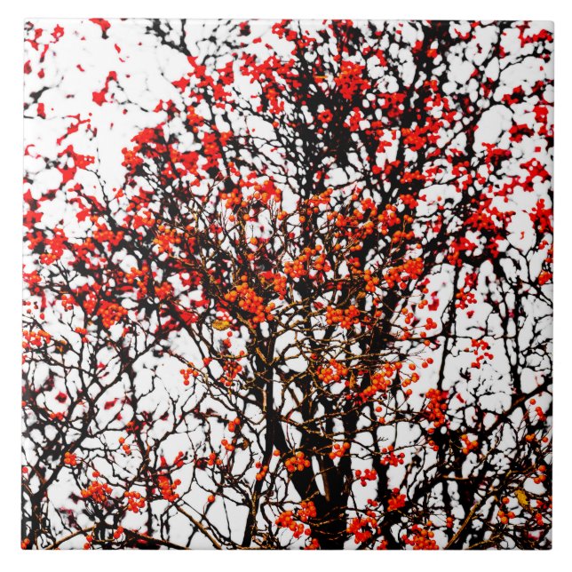 Azulejo Frutos romanos rojos o bayas de ceniza (Frente)