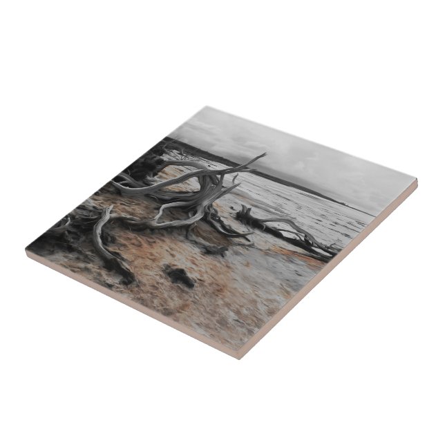 Azulejo Fuerzas Naturales del Lago Tyrrell (Lado)