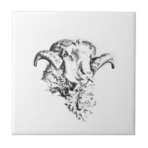 Azulejo Funky Cute Merino Sheep Ram Head Sketch