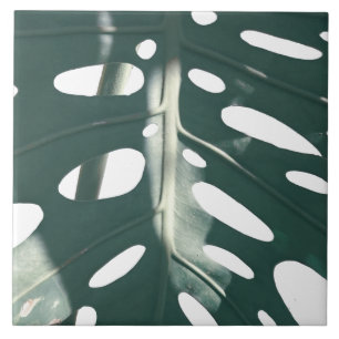 Azulejo Funky planta de queso suizo verde pálido