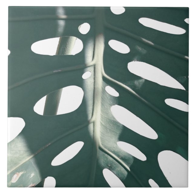 Azulejo Funky planta de queso suizo verde pálido (Frente)